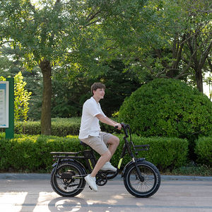 Vélo électrique KOOLUX X7 250W avec batterie au lithium, vélo tout-terrain à suspension avant, vélo de montagne pliable, vélo de ville pour adultes - Product Image 4