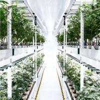 Ferme mobile intelligente en conteneur de 40 pieds pour culture, avec pompe motorisée, gestion de croissance entièrement automatisée, respectueuse de l'environnement, optimisant la production par lots