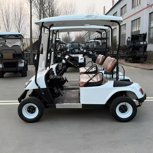 Voiturette de golf tout-terrain 2 places de haute qualité avec batterie au lithium et auvent de pluie, idéale pour le golf - Product Image 3