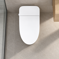 Vente en gros usine WC intelligent monobloc en céramique avec bidet intégré, fonctionnement automatique, télécommande, siphon en P/S, chauffant