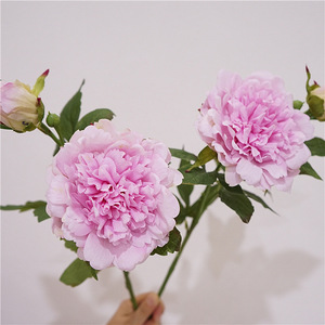 BF-PY03 <span class=keywords><strong>Bloom</strong></span> Floral, pivoines artificielles de haute qualité à 2 têtes, toucher réaliste, grande tête, latex, faux pivoine blanche et rose pour la décoration - Product Image 6