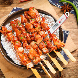 เครื่องวัดอุณหภูมิเตาย่างบาร์บีคิวและอาหารดิจิทัลพร้อมมาตรวัดอุณหภูมิหัววัดแบบพับได้สำหรับการอบและทำอาหาร - Product Image 1