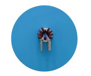 Alimentation d'ordinateur <span class=keywords><strong>haut</strong></span> <span class=keywords><strong>de</strong></span> <span class=keywords><strong>gamme</strong></span> utilisée des noyaux d'aile amorphes personnalisés pour amplificateur magnétique - Product Image 5