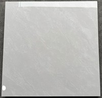 Carreaux de porcelaine durables résistants aux rayures pour les zones à fort trafic Carreaux d'intérieur modernes pour les centres commerciaux Villas Antidérapants