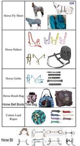 <span class=keywords><strong>Cavallo</strong></span> da equitazione e <span class=keywords><strong>cavezza</strong></span> - Product Image 4