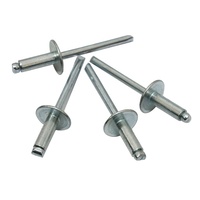 Fixation décorative de sortie d'usine Rivet aveugle en aluminium à grande bride Rivets pop à extrémité ouverte auto-enfichables Noyau en acier plastique