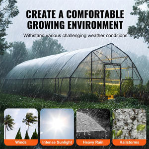 ฟิล์มพลาสติกใสสำหรับโรงเรือนขนาด 6 มิล ป้องกันรังสียูวี สำหรับคลุมโรงเรือน ป้องกันน้ำค้างแข็งสำหรับพืช - Product Image 4