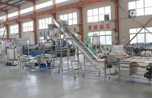 VBJX industrielle effiziente automatische Produktions linie für die Verarbeitung von Knoblauch-Tomaten-Garnelen-Zucker paste - Product Image 2