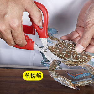 Coupe-fruits de mer incurvé en acier inoxydable robuste pour crabe, homard et crevettes – Outil de cuisine - Product Image 1