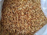 100% vers de vase séchés au micro-ondes naturels sans OGM à vendre/aliments pour animaux de compagnie pour poulets oiseaux sauvages