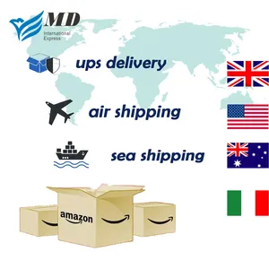 プロの貨物運送業者DDP海上航空輸送代理店ドアツードア中国からアメリカカナダアメリカアフリカアジアヨーロッパドイツ英国