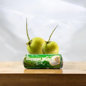 Obtenga agua de coco embotellada natural y con sabor de Vietnam a un precio barato y con una MOQ baja. - Product Image 1