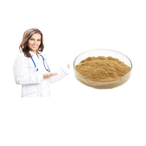 Порошок экстракта листьев Gymnema Sylvestre 25% -75% гимнастическая кислота - Product Image 2