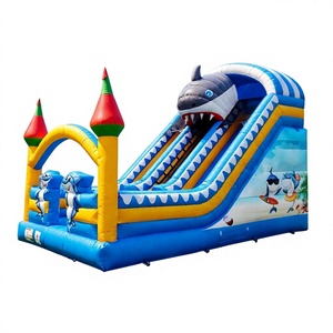 Petit toboggan gonflable, château gonflable, modèle B-02, pour enfants, idéal pour les supermarchés, les centres commerciaux et les résidences, produit très vendu - Product Image 2