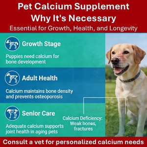 Gotas de Borogluconato de Calcio Pevet <span class=keywords><strong>para</strong></span> <span class=keywords><strong>Perros</strong></span>, Fórmula de Alta Absorción, Vitamina D3, Fortalece Huesos y Dientes, Fácil Dosificación - Product Image 2