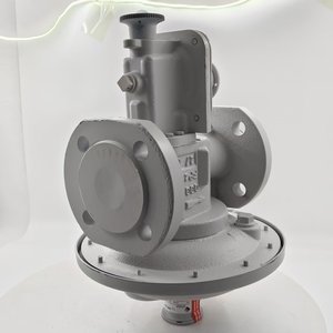 Hiệu suất cao elster Mr 25f6 SM mr25sf6 mr50 sf6 van điều chỉnh áp suất bộ phận nồi hơi sản phẩm cho nồi hơi công nghiệp - Product Image 4