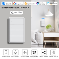 Interrupteur intelligent WiFi Matter US 1/2/3/4 voies, application Tuya Smart Life, contrôle à distance et vocal, compatible avec Apple HomeKit, Alexa, Google Home