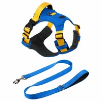 Kalung dan Tali Anjing Bahan Nylon Custom Logo Grosir Pabrik Laris Manis, Set Harness Kalung Anjing Berbahan Nylon Lembut untuk Berburu, Tali Anti Air