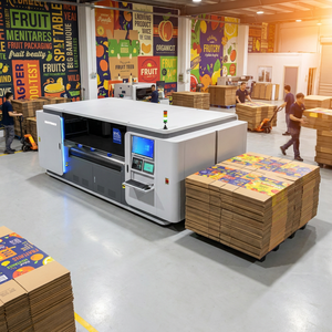 Imprimante à données variables SHC1600 à passage unique, machine d'impression numérique de codes QR et codes-barres <span class=keywords><strong>pour</strong></span> la production d'emballages logistiques intelligents - Product Image 5