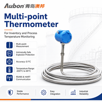 Multi-point Temperature Thermometer
