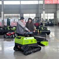 Débroussailleuse à chenilles en caoutchouc robuste à moteur diesel, certifiée CE, télécommandée, pour le désherbage et le défrichement des terres agricoles