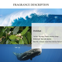 Huile de parfum de parfum unique Invictus vente en gros huile de parfum de concepteur de marque en vrac non diluée de longue durée