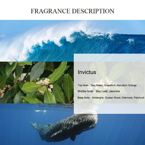 Aceite de fragancia de <span class=keywords><strong>Perfume</strong></span> <span class=keywords><strong>Invictus</strong></span> de aroma único, venta al por mayor, aceite de <span class=keywords><strong>Perfume</strong></span> de diseñador de marca a granel sin diluir de larga duración - Product Image 2