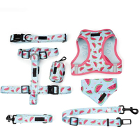 Harnais réglable pour chien, ceinture de sublimation, gilet de harnais pour chien, harnais martingale, accessoires pour harnais de chien, ensemble de harnais pour animaux de compagnie, produit pour animaux de compagnie
