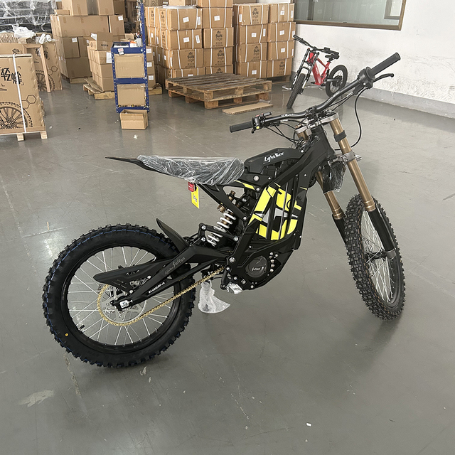 2025 Most Popular Light Bee X Central Motor 60V 8000W 40AH E-motorbike for Adult