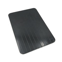 Accessoires de cuisine, plateau de décongélation rapide, décongélation rapide des aliments congelés, plaque de décongélation rapide, Thaw Master, épaisseur 3 mm, aluminium