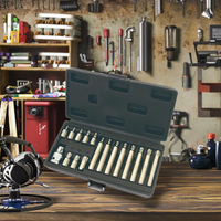 AE-S5617 17 pièces jeu d'embouts de douille de tournevis cannelés CR-V outils de réparation automatique de bits Torx hexagonaux supplémentaires pour l'industrie des machines