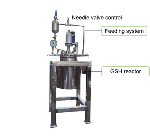 Reactor Químico de Laboratorio de Alta Automatización con Motor a Prueba de Explosiones y Sistema de Alimentación - Product Image 2