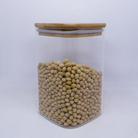 Pot à pâtes carré incassable en verre borosilicate, bocaux à collation, à café et à épices, petit récipient de rangement avec couvercle en bois et cuillère
