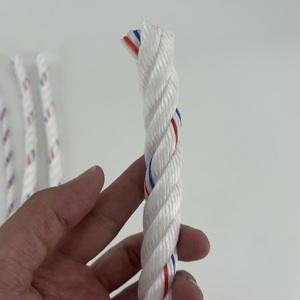 Cuerda de Polipropileno Danline de 4mm-60mm, Cuerda Marina de 3 Hilos, Cuerda de Polipropileno, Venta Caliente 2026 - Product Image 2