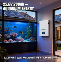 Baterai Lithium Ion 5kWh 24V 25.6V 200Ah untuk Sistem Energi Surya yang Dipasang di Dinding