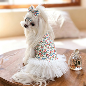 Vestito Morbido e Traspirante per Gatti e Cani Femminili, Direttamente dalla Fabbrica, Ideale per Foto, Gite nel Weekend e Vacanze - Product Image 2