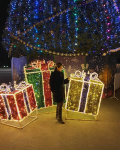Boîte à lumières LED pour cadeaux de Noël, éclairage de scène nocturne pour intérieur et extérieur, indice de protection IP65, couleur personnalisée, CE ROHS, garantie de 2 ans - Product Image 1