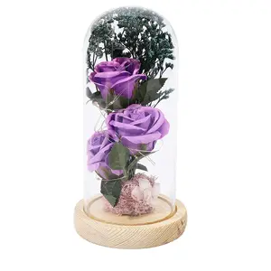 Fiore di rosa eterna con copertura in vetro piccola luce notturna per san valentino compleanno festa della mamma <span class=keywords><strong>regalo</strong></span> per fidanzate <span class=keywords><strong>moglie</strong></span> - Product Image 1