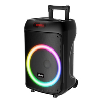 Haut-parleur karaoké portable sans fil pour l'extérieur radio FM basse lumière LED DJ Party BT woofer actif fort chariot Haut-parleur