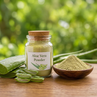 Poudre d'aloe vera de qualité supérieure, crème légère, qualité alimentaire, poudre naturelle finement moulue pour les boissons, les smoothies, les mélanges à base de plantes