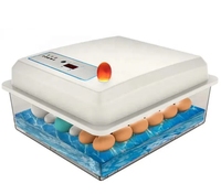 Incubateur d'Œufs Automatique en Gros, Neuf, Petit Système d'Incubation Ménager pour Élevage de Poulets, Prix Abordable pour Ferme Avicole