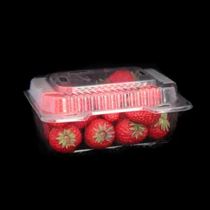 Kingwin Disposable Plastic PET Fruit Clam Shell Packaging