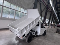 Chargement hydraulique complet 500kg 1 tonne Mini camion benne électrique automatique 5kw camionnette benne LHD RHD camionnette