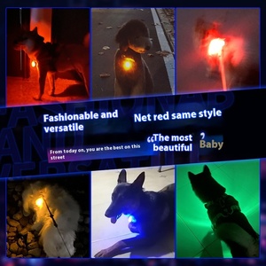 Colgante de perro antipérdida luminoso LED de estilo de dibujos animados, <span class=keywords><strong>Collar</strong></span> de <span class=keywords><strong>Flash</strong></span> para mascotas para perros grandes, medianos y pequeños, hecho de plástico - Product Image 2