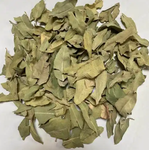 Hojas de Dogbane (Luo Bu Ma Ye), Planta Herbal China, Hojas de Apocynium Veneti, Hierbas Naturales para la Presión Arterial - Product Image 6