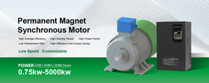 Alternador Hidroeléctrico de Baja Velocidad, Alternador Sin Escobillas de Imán de Baja RPM - Product Image 3