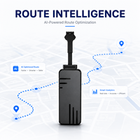 Traceur GPS 4G J16, protocole GT06, anti-brouilleur, dispositif de suivi GPS pour voiture et moto, mini-appareil de suivi de véhicule en temps réel avec 300 mAh
