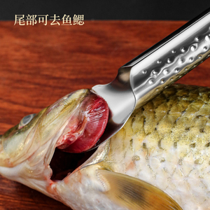 Dụng Cụ Làm Sạch Đa Năng Dụng Cụ Làm Sạch Vảy Cá Dụng Cụ Cạo Vảy Cá Nhà Bếp Bằng Thép Không Gỉ - Product Image 4