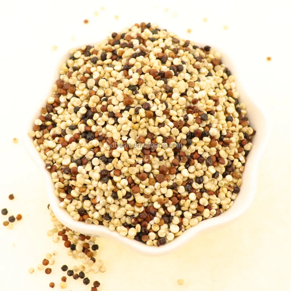 Commercio all'ingrosso Nihewan crudo grano di Quinoa orgianico bianco rosso tricolore nero riso Quinoa Bio Quinoa