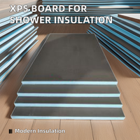 Fabricant chinois Panneau d'appui pour carrelage 6/10/20mm Panneau d'isolation Salle de douche XPS Ciment Enduit Extérieur